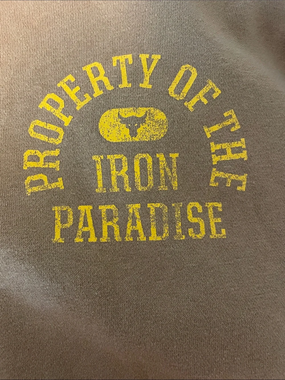 Under Armour Project Rock Iron Paradise Loose Fit Sweatshirt Size XS